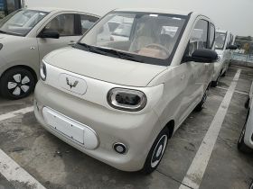 五菱汽车 宏光MINIEV 2024款 第三代 215km 青春版