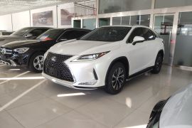 雷克萨斯RX 2020款 300 两驱舒适版 国VI