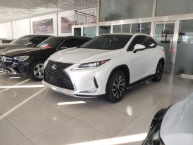 雷克萨斯RX 2020款 300 两驱舒适版 国VI