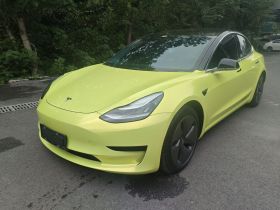 特斯拉 Model 3 2020款 改款 标准续航后驱升级版