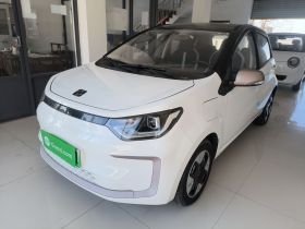 思皓 花仙子 2023款 周年款 306km 薰衣草 30kW