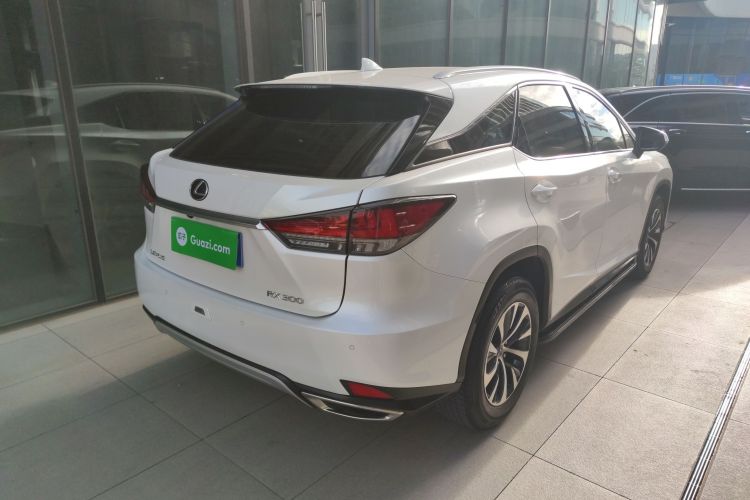 雷克萨斯RX 2020款 改款 300 两驱舒适版车身外观7