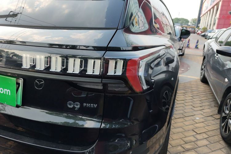领克09 EM-P 2021款 2.0T PHEV Halo 七座车身外观9
