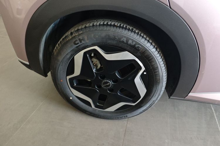 比亚迪 海豚 2021款 405km 时尚版车身外观6003