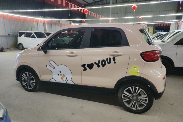 零跑汽车 零跑T03 2021款 400舒享版车身外观4