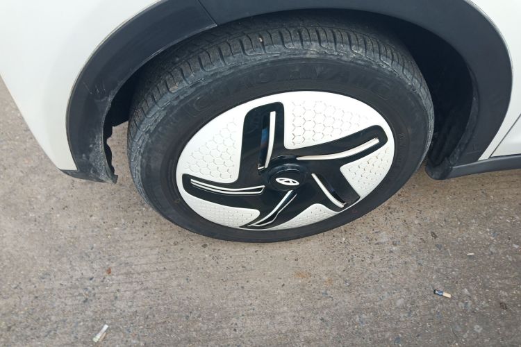 奇瑞 小蚂蚁 2024款 251km 热爱版车身外观6007