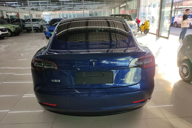 特斯拉 Model 3 2019款 标准续航后驱升级版车身外观6004