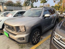 哈弗大狗 PLUS 2023款 1.5T 两驱潮野版Plus