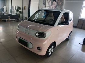 五菱汽车 宏光MINIEV 2024款 第三代 170km