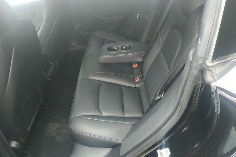 特斯拉 Model 3(进口) 2019款 长续航全轮驱动版中控内饰7004