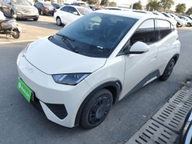 比亚迪 海鸥 2025款 智驾版 305km 活力版