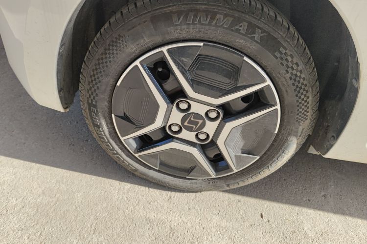 思皓 2022款 花仙子款 四叶草车身外观6007