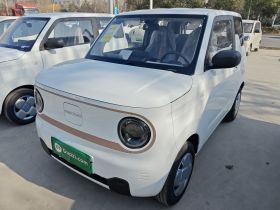 吉利银河 2024款 熊猫mini 200km 耐力熊