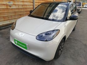 五菱汽车 五菱缤果 2023款 410km 灵犀尊享款