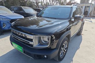 哈弗大狗 2024款 1.5T DCT边牧版