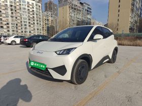 比亚迪 海鸥 2025款 智驾版 305km 活力版