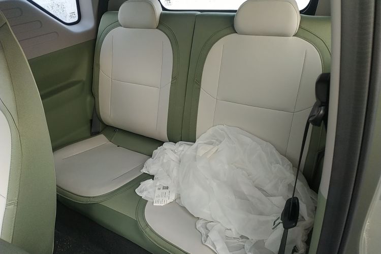 吉利银河 2025款 210km 熊猫骑士中控内饰21