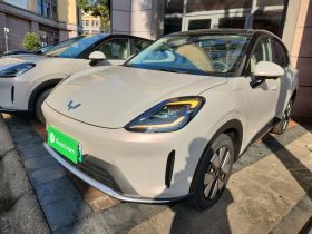 五菱汽车 缤果S 2025款 325km 尊享款