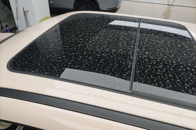 欧拉好猫 2021款 400km标准续航 维纳斯版 三元锂局部细节57