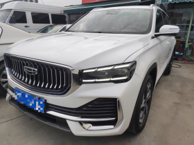 吉利汽车 星越L 2021款 2.0TD DCT EVO两驱尊贵型