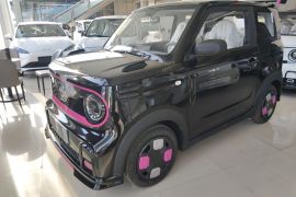 吉利银河 2025款 210km 熊猫卡丁