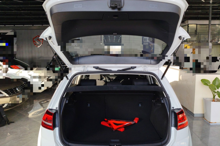 大众 高尔夫 2017款 230TSI 自动舒适百万辆纪念版机舱底盘23