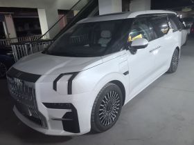 极氪009 2022款 改款 WE版