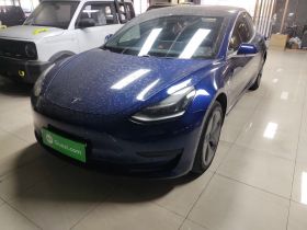 特斯拉 Model 3 2020款 标准续航后驱升级版