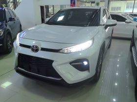 丰田 威兰达 2023款 2.0L CVT两驱都市版
