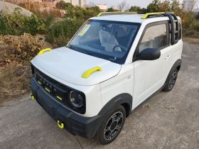 吉利银河 2025款 210km 熊猫骑士