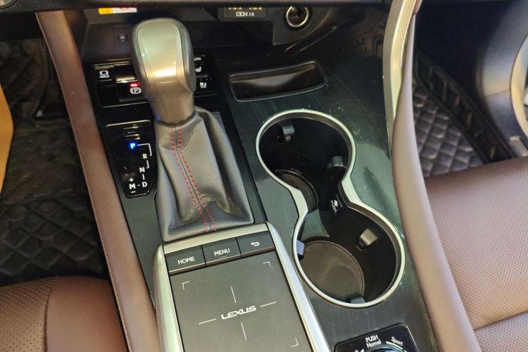 雷克萨斯RX 2020款 改款 300 四驱典雅版局部细节18
