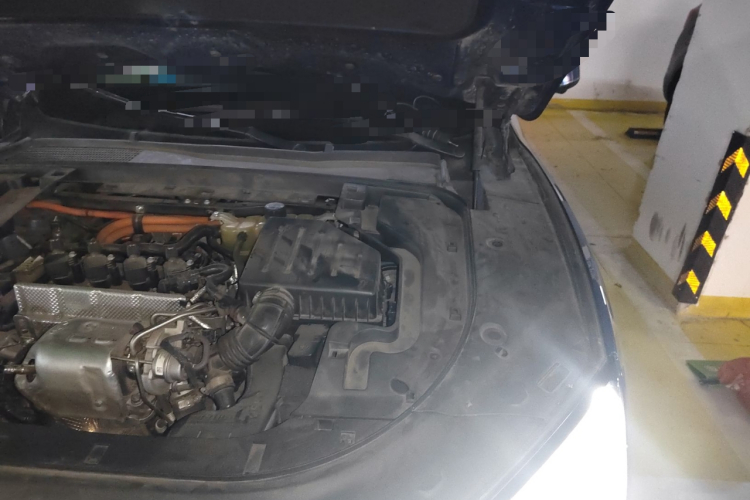 SERES赛力斯 赛力斯SF5 2020款 四驱高性能运动版局部细节9007