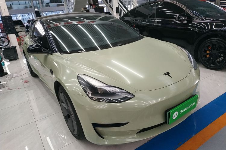 特斯拉 Model 3 2021款 标准续航后驱升级版 3D6车身外观3