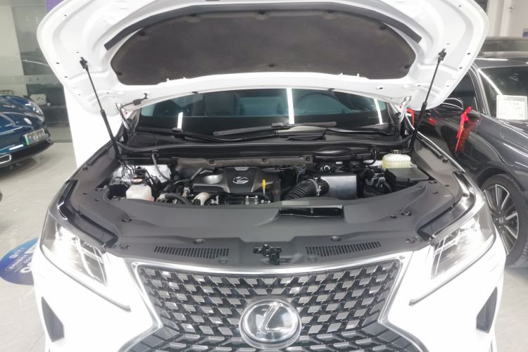 雷克萨斯RX 2020款 改款 300 两驱精英版机舱底盘24