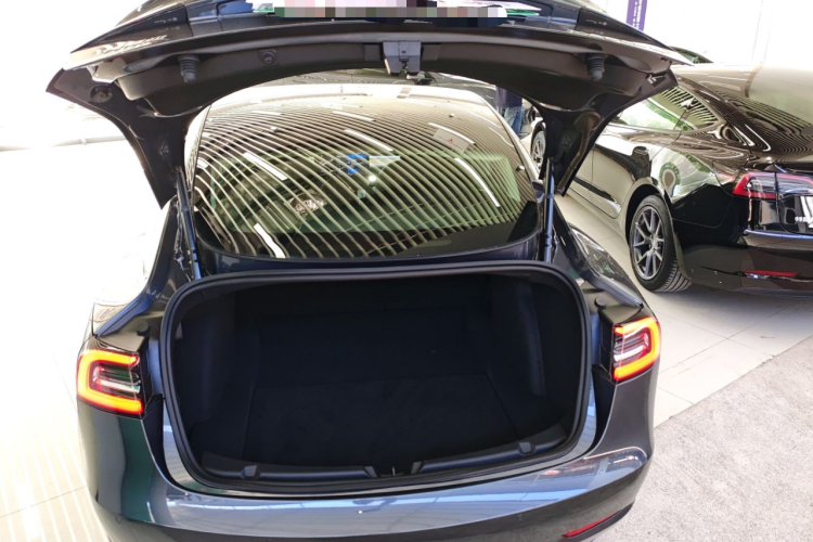 特斯拉 Model 3 2020款 长续航后轮驱动版机舱底盘23