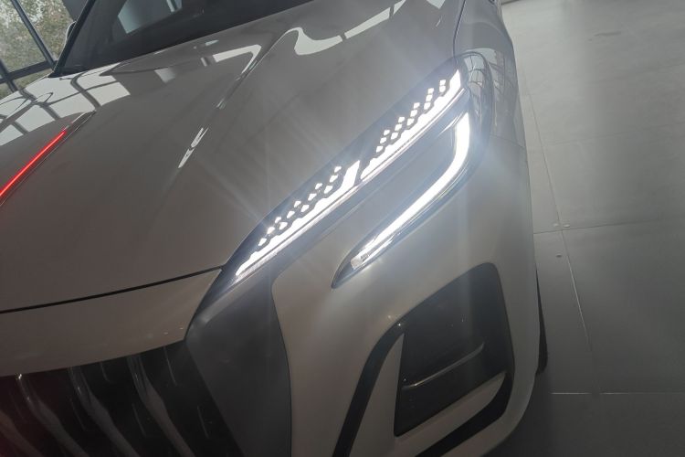 红旗HS3 PHEV 2024款 PHEV 115km 劲为版局部细节36