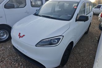 五菱汽车 五菱宏光新能源 2024款 纯电版 300KM 标准型