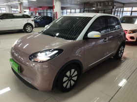 五菱汽车 五菱缤果 2023款 333km 灵犀互联款