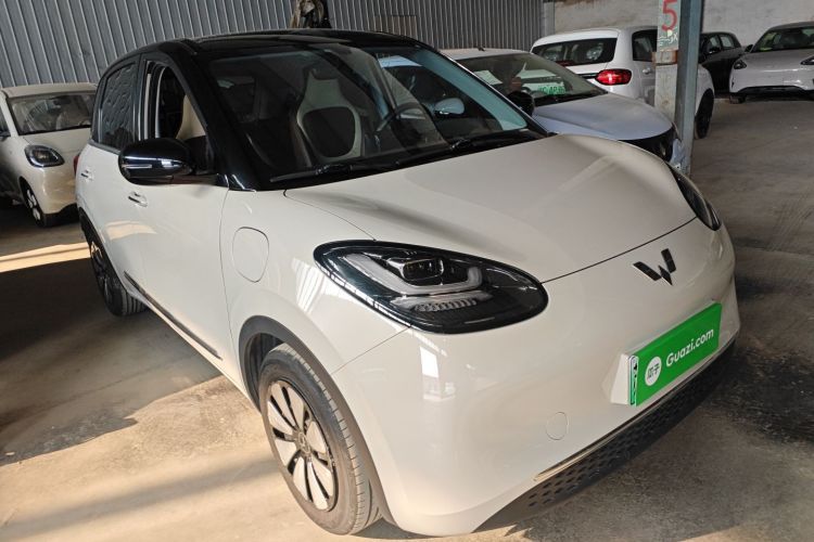 五菱汽车 五菱缤果 2024款 333km 悦享款车身外观3