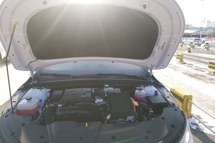 比亚迪 驱逐舰05 2024款 荣耀版 DM-i 55KM 豪华型机舱底盘24