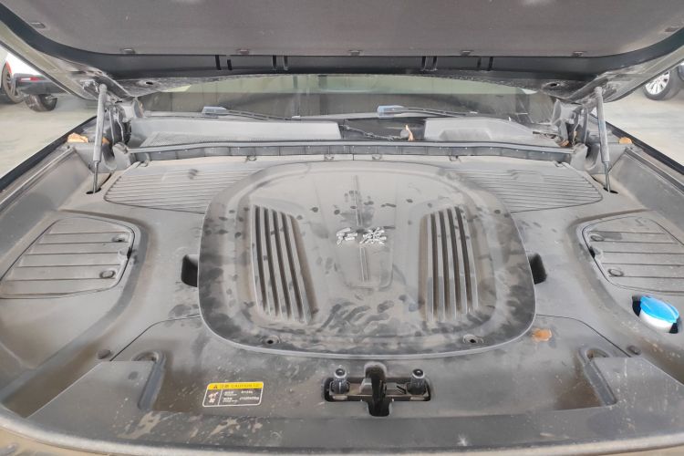 红旗E-HS9 2021款 460km 旗享版 六座局部细节24