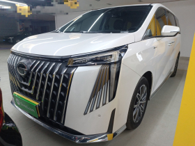 广汽传祺 传祺M8 2024款 大师系列 400T 尊贵版