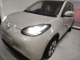 五菱汽车 五菱缤果 2025款 333km 悦享款