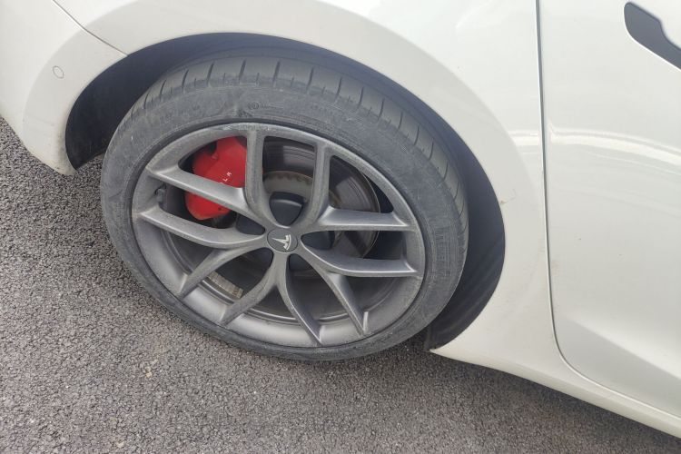 特斯拉 Model 3 2022款 Performance高性能全轮驱动版车身外观6008