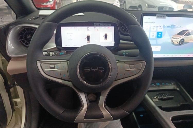 比亚迪 海豚 2025款 420km 时尚版局部细节13