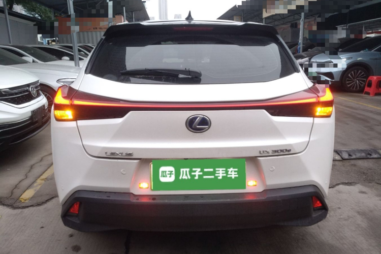 雷克萨斯UX新能源 2020款 300e 纯·悦版车身外观6004