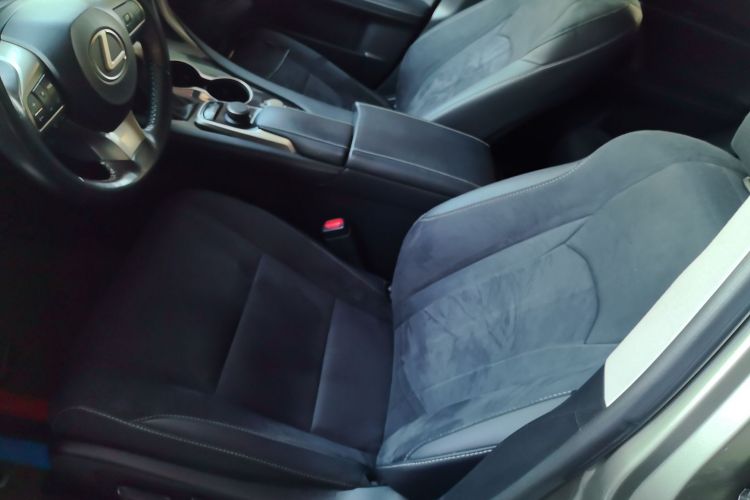 雷克萨斯RX 2016款 300 两驱精英版 国V局部细节19