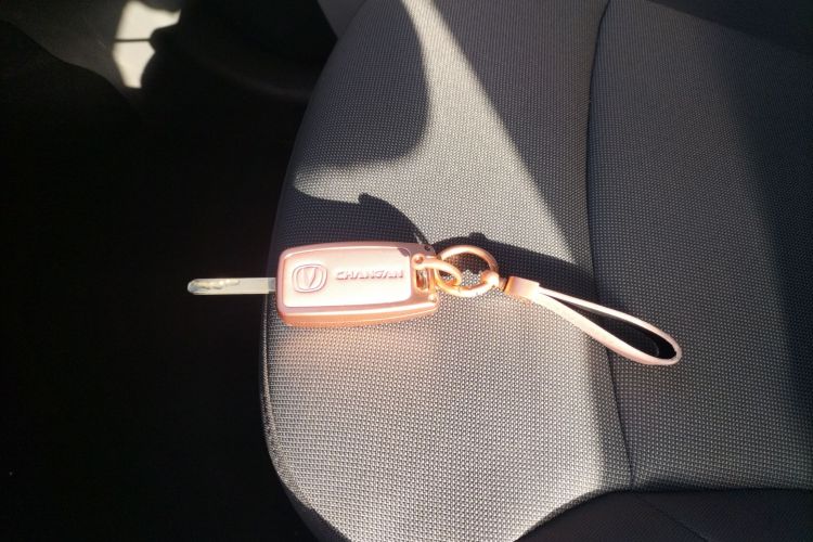 长安启源 长安Lumin 2022款 155km 清甜款中控内饰11