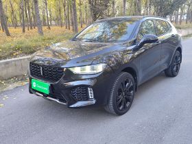 魏牌 VV5 2019款 升级款 2.0T 两驱旗舰型 国V