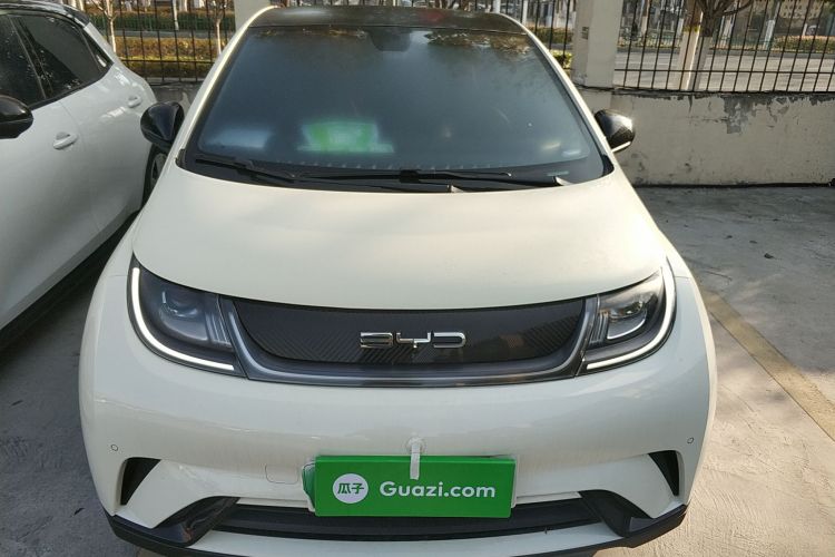 比亚迪 海豚 2023款 420km 时尚版车身外观6001